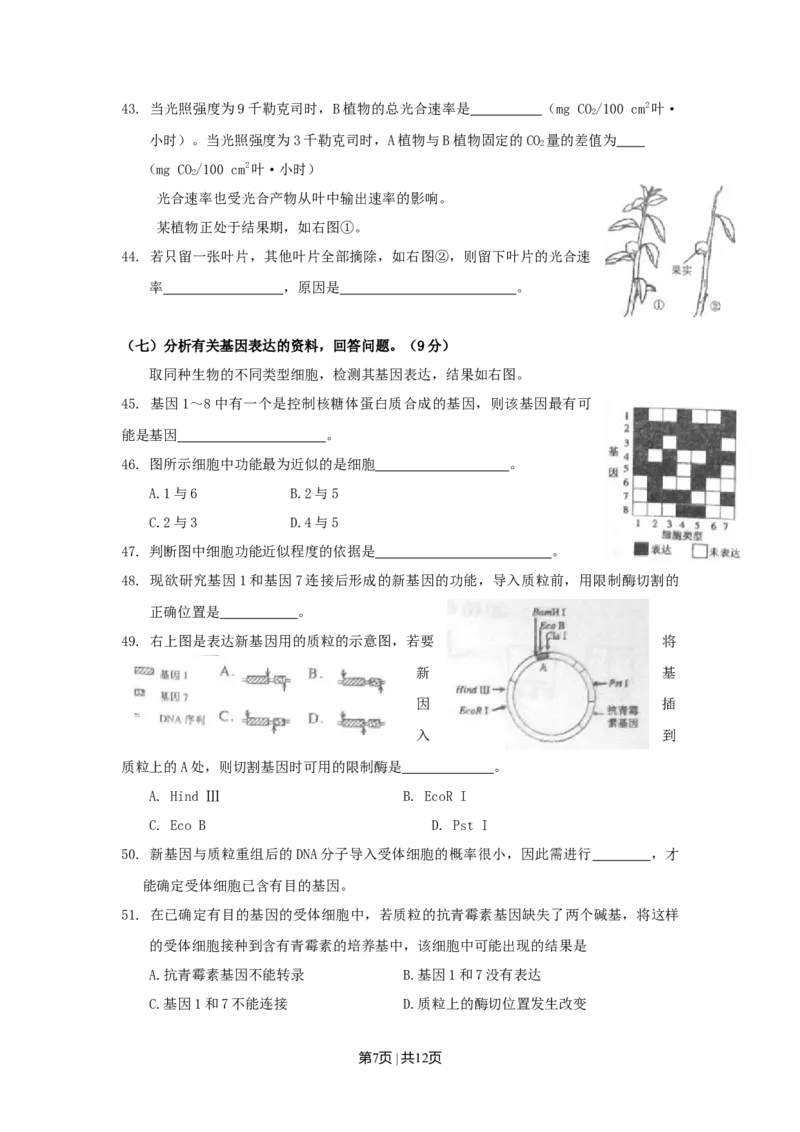 2010年高考生物试卷（上海）（空白卷）_1.高考2025全国各省真题+答案_01.2008-2024全国高考真题（按省份分类）_31.上海_2008-2022&middot;（上海）生物高考真题