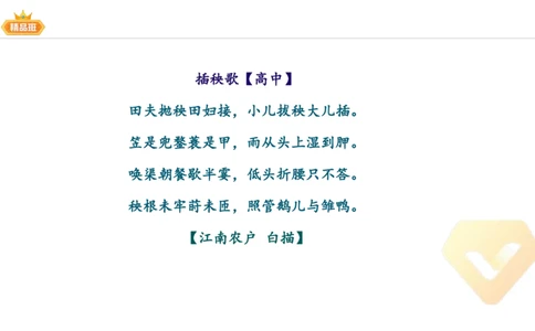 24下-教资系统班-中外文学8-毕小象_4-教培资料-26年最新资料-同步更新_初中高中教资_03科三专项（进去保存报考的学科即可）_01科目三FB网课、三色速记手册、知识点导图等推荐