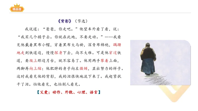 24下-教资系统班-中外文学8-毕小象_4-教培资料-26年最新资料-同步更新_初中高中教资_03科三专项（进去保存报考的学科即可）_01科目三FB网课、三色速记手册、知识点导图等推荐