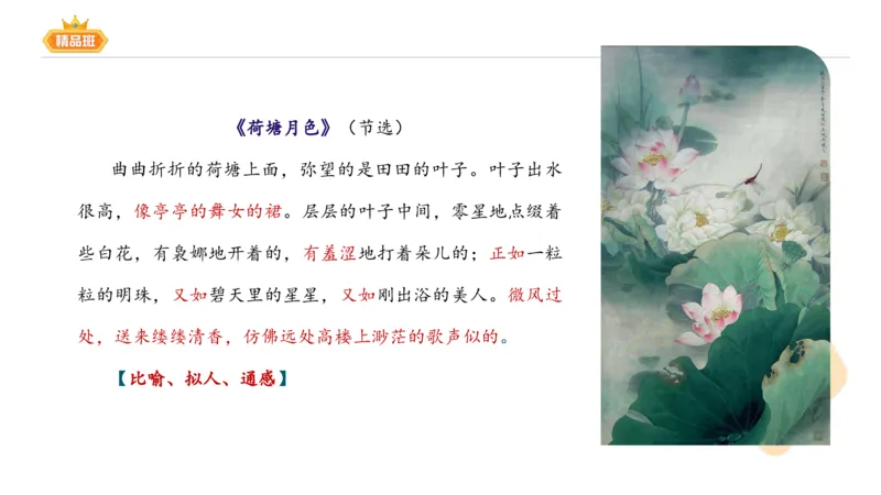 24下-教资系统班-中外文学8-毕小象_4-教培资料-26年最新资料-同步更新_初中高中教资_03科三专项（进去保存报考的学科即可）_01科目三FB网课、三色速记手册、知识点导图等推荐