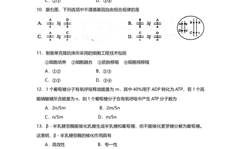 2008年高考生物试卷（上海）（解析卷）_1.高考2025全国各省真题+答案_01.2008-2024全国高考真题（按省份分类）_31.上海_2008-2022&middot;（上海）生物高考真题