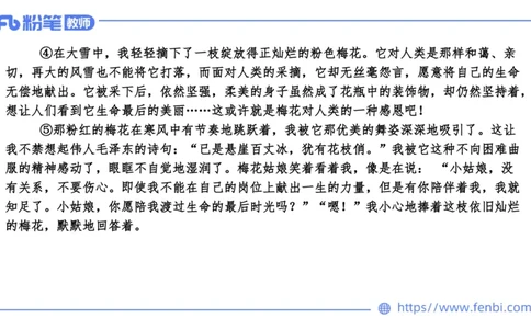 24下-教资系统班案例分析3&mdash;乐多_4-教培资料-26年最新资料-同步更新_初中高中教资_03科三专项（进去保存报考的学科即可）_01科目三FB网课、三色速记手册、知识点导图等推荐