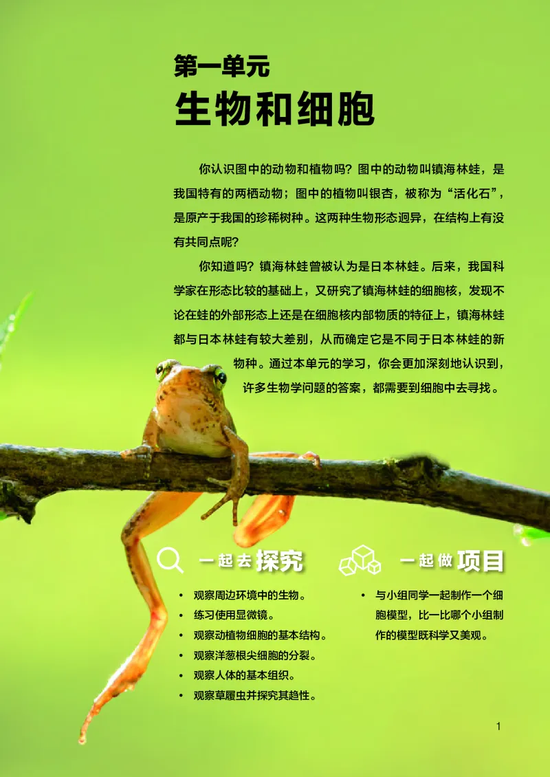 人教版7年级生物上册高清教材_4-教培资料-26年最新资料-同步更新_初中高中教资_03科三专项（进去保存报考的学科即可）_02科三专项（笔记真题思维导图教学设计版本二）