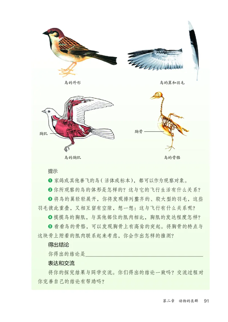 人教版7年级生物上册高清教材_4-教培资料-26年最新资料-同步更新_初中高中教资_03科三专项（进去保存报考的学科即可）_02科三专项（笔记真题思维导图教学设计版本二）