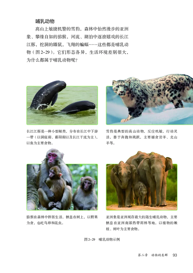 人教版7年级生物上册高清教材_4-教培资料-26年最新资料-同步更新_初中高中教资_03科三专项（进去保存报考的学科即可）_02科三专项（笔记真题思维导图教学设计版本二）