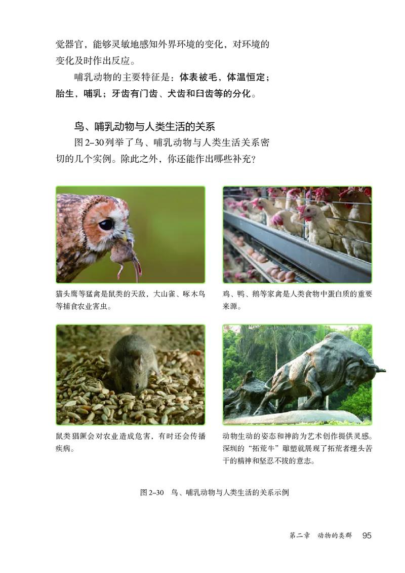 人教版7年级生物上册高清教材_4-教培资料-26年最新资料-同步更新_初中高中教资_03科三专项（进去保存报考的学科即可）_02科三专项（笔记真题思维导图教学设计版本二）