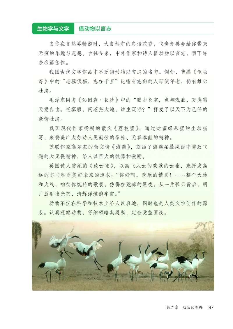 人教版7年级生物上册高清教材_4-教培资料-26年最新资料-同步更新_初中高中教资_03科三专项（进去保存报考的学科即可）_02科三专项（笔记真题思维导图教学设计版本二）