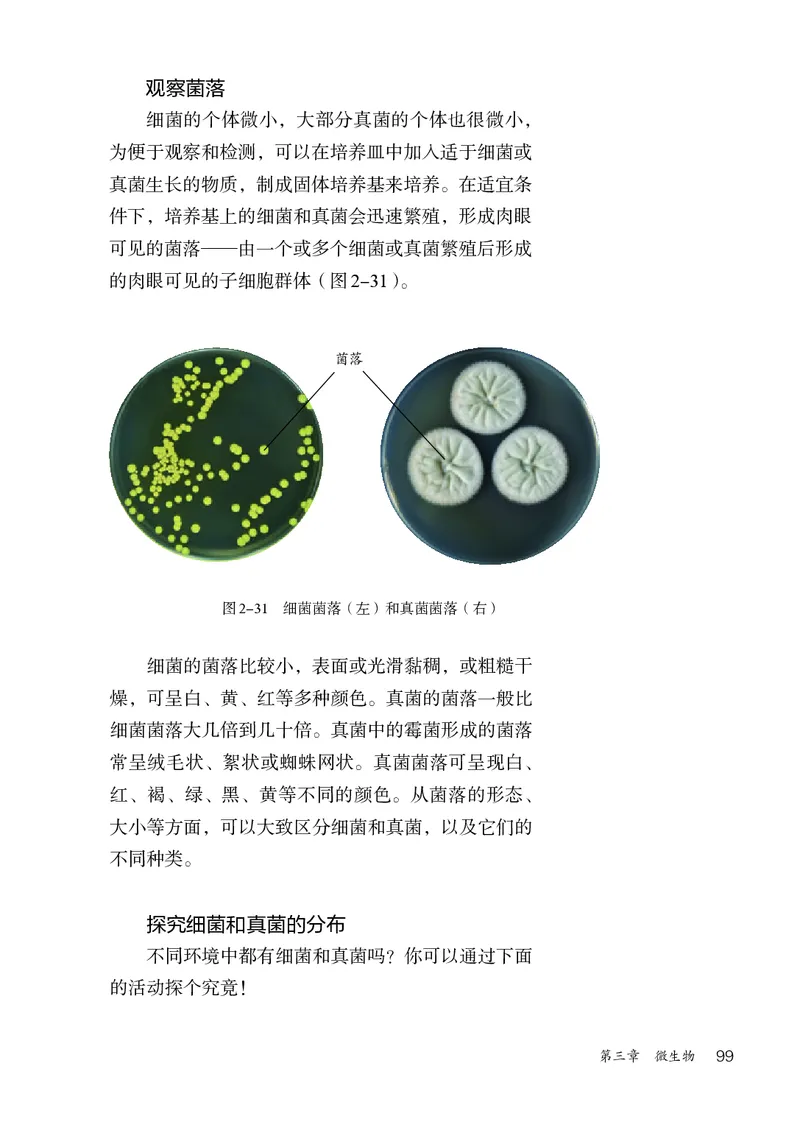 人教版7年级生物上册高清教材_4-教培资料-26年最新资料-同步更新_初中高中教资_03科三专项（进去保存报考的学科即可）_02科三专项（笔记真题思维导图教学设计版本二）