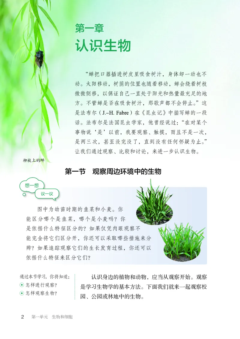 人教版7年级生物上册高清教材_4-教培资料-26年最新资料-同步更新_初中高中教资_03科三专项（进去保存报考的学科即可）_02科三专项（笔记真题思维导图教学设计版本二）