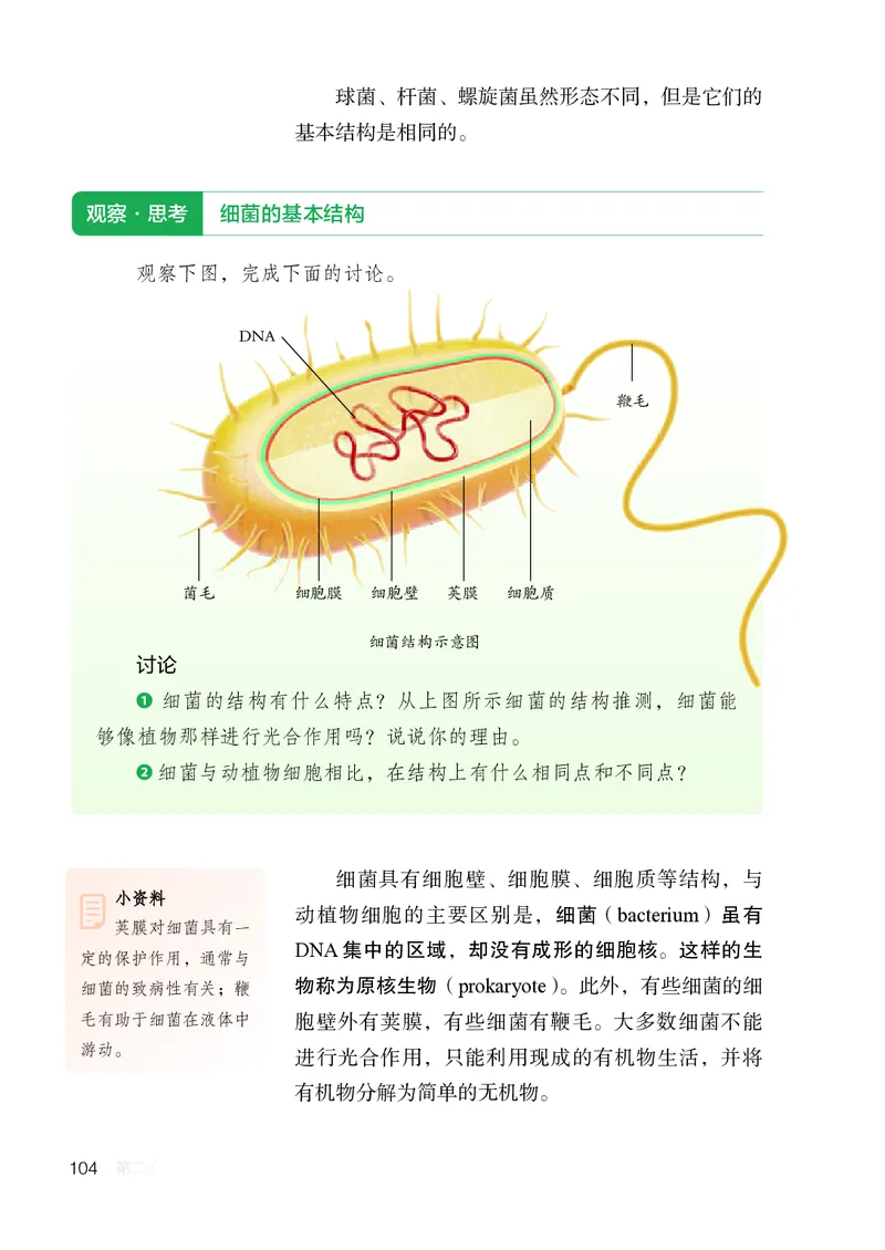 人教版7年级生物上册高清教材_4-教培资料-26年最新资料-同步更新_初中高中教资_03科三专项（进去保存报考的学科即可）_02科三专项（笔记真题思维导图教学设计版本二）