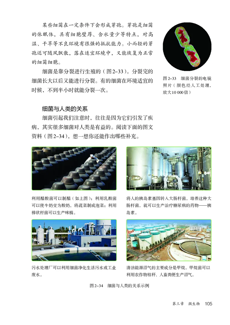 人教版7年级生物上册高清教材_4-教培资料-26年最新资料-同步更新_初中高中教资_03科三专项（进去保存报考的学科即可）_02科三专项（笔记真题思维导图教学设计版本二）