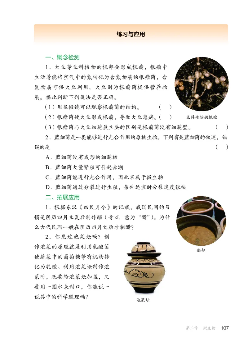 人教版7年级生物上册高清教材_4-教培资料-26年最新资料-同步更新_初中高中教资_03科三专项（进去保存报考的学科即可）_02科三专项（笔记真题思维导图教学设计版本二）