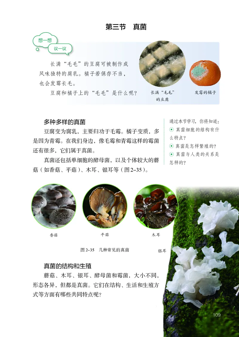 人教版7年级生物上册高清教材_4-教培资料-26年最新资料-同步更新_初中高中教资_03科三专项（进去保存报考的学科即可）_02科三专项（笔记真题思维导图教学设计版本二）