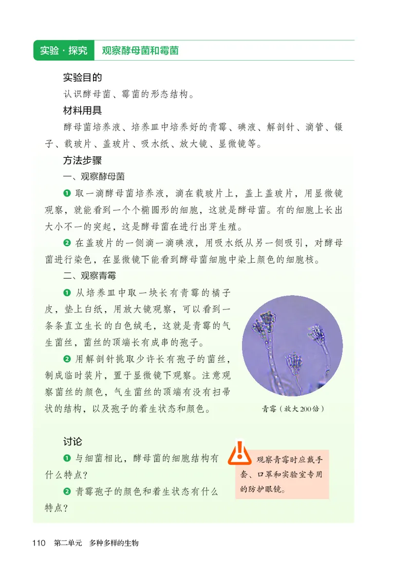 人教版7年级生物上册高清教材_4-教培资料-26年最新资料-同步更新_初中高中教资_03科三专项（进去保存报考的学科即可）_02科三专项（笔记真题思维导图教学设计版本二）