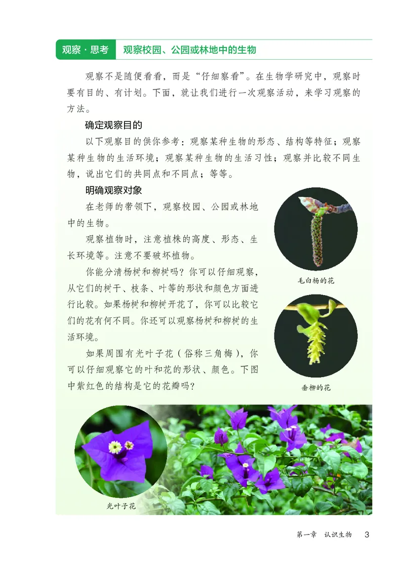 人教版7年级生物上册高清教材_4-教培资料-26年最新资料-同步更新_初中高中教资_03科三专项（进去保存报考的学科即可）_02科三专项（笔记真题思维导图教学设计版本二）