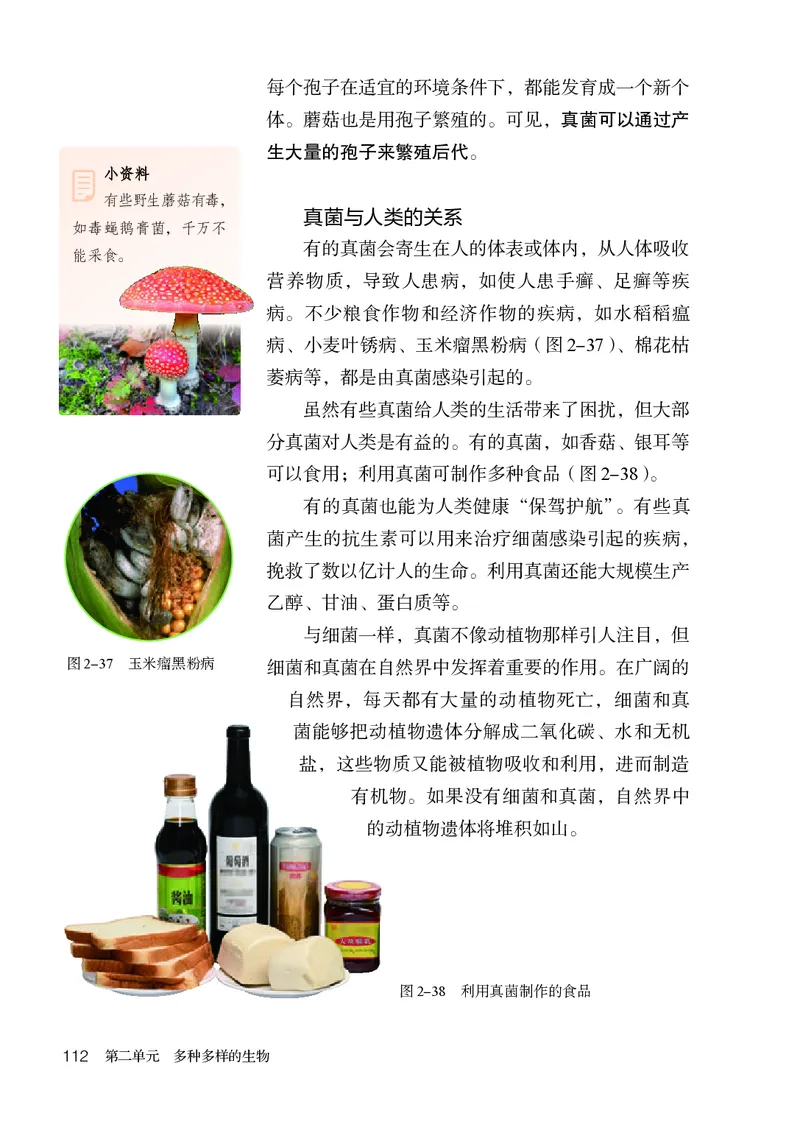 人教版7年级生物上册高清教材_4-教培资料-26年最新资料-同步更新_初中高中教资_03科三专项（进去保存报考的学科即可）_02科三专项（笔记真题思维导图教学设计版本二）