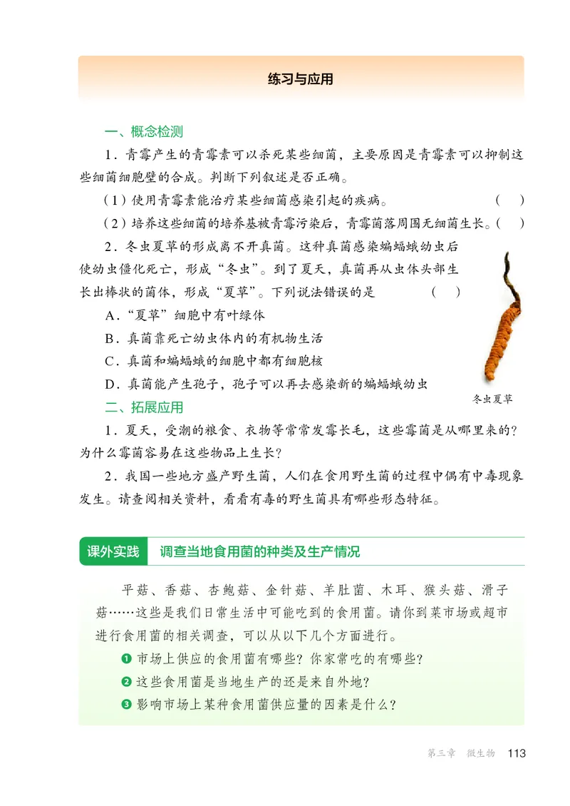 人教版7年级生物上册高清教材_4-教培资料-26年最新资料-同步更新_初中高中教资_03科三专项（进去保存报考的学科即可）_02科三专项（笔记真题思维导图教学设计版本二）