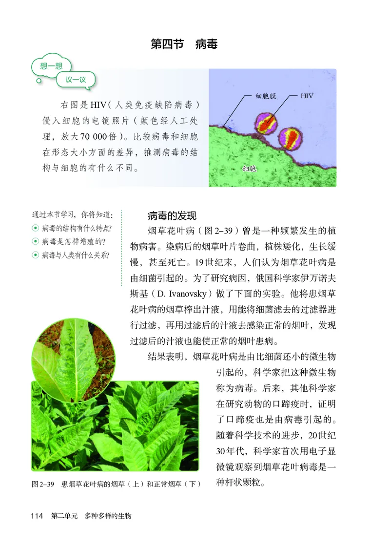 人教版7年级生物上册高清教材_4-教培资料-26年最新资料-同步更新_初中高中教资_03科三专项（进去保存报考的学科即可）_02科三专项（笔记真题思维导图教学设计版本二）