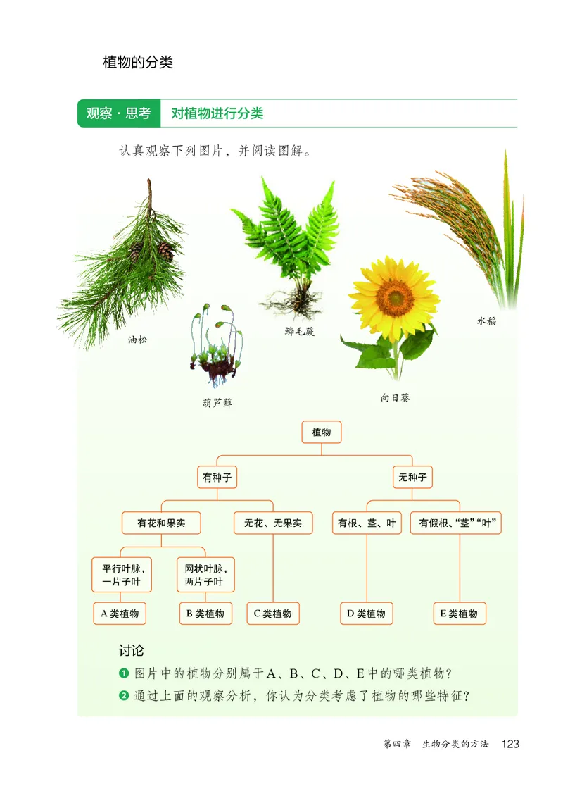 人教版7年级生物上册高清教材_4-教培资料-26年最新资料-同步更新_初中高中教资_03科三专项（进去保存报考的学科即可）_02科三专项（笔记真题思维导图教学设计版本二）