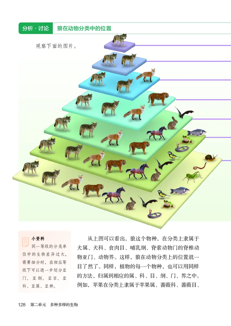 人教版7年级生物上册高清教材_4-教培资料-26年最新资料-同步更新_初中高中教资_03科三专项（进去保存报考的学科即可）_02科三专项（笔记真题思维导图教学设计版本二）