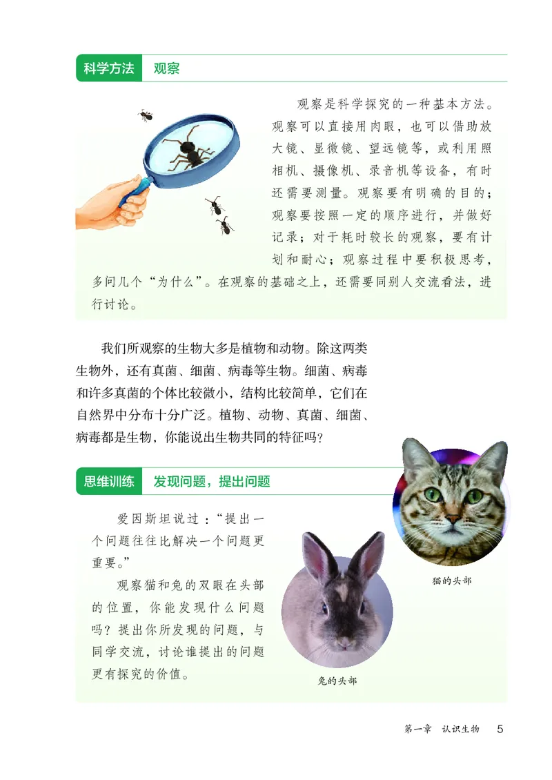 人教版7年级生物上册高清教材_4-教培资料-26年最新资料-同步更新_初中高中教资_03科三专项（进去保存报考的学科即可）_02科三专项（笔记真题思维导图教学设计版本二）