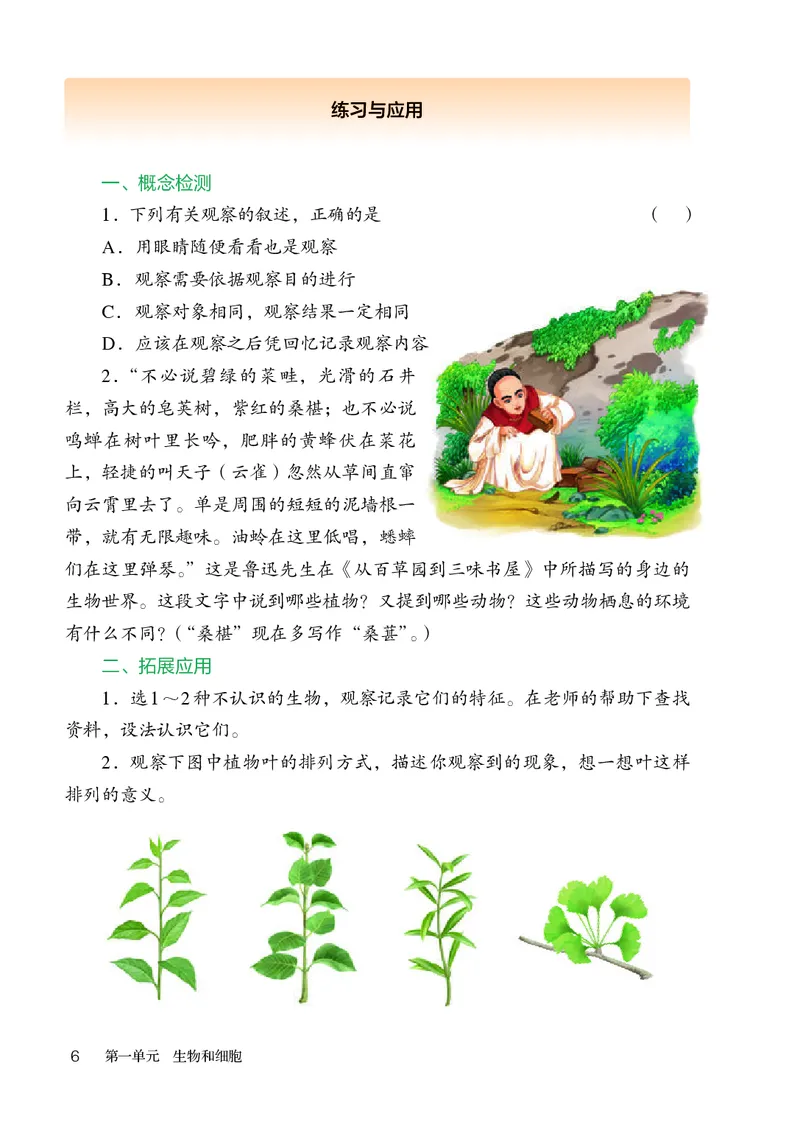 人教版7年级生物上册高清教材_4-教培资料-26年最新资料-同步更新_初中高中教资_03科三专项（进去保存报考的学科即可）_02科三专项（笔记真题思维导图教学设计版本二）