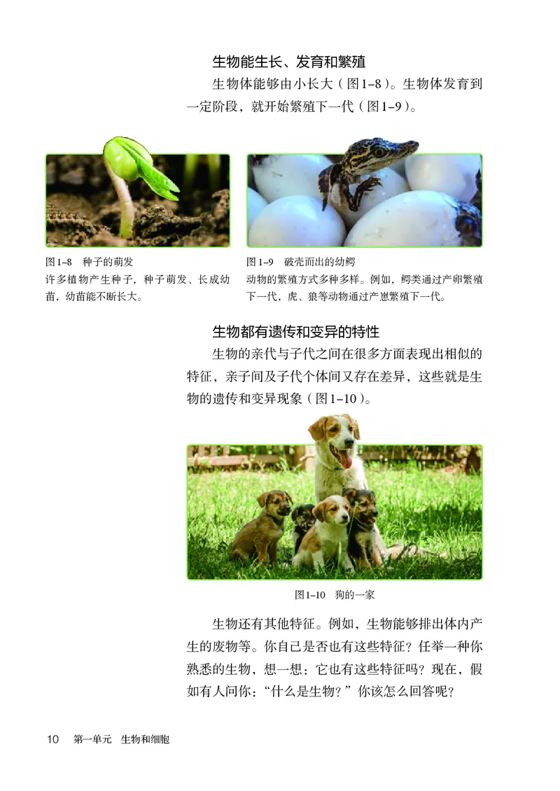 人教版7年级生物上册高清教材_4-教培资料-26年最新资料-同步更新_初中高中教资_03科三专项（进去保存报考的学科即可）_02科三专项（笔记真题思维导图教学设计版本二）