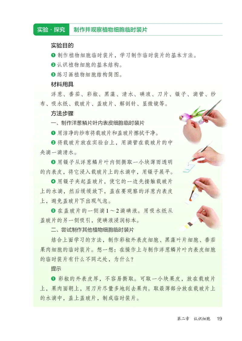 人教版7年级生物上册高清教材_4-教培资料-26年最新资料-同步更新_初中高中教资_03科三专项（进去保存报考的学科即可）_02科三专项（笔记真题思维导图教学设计版本二）