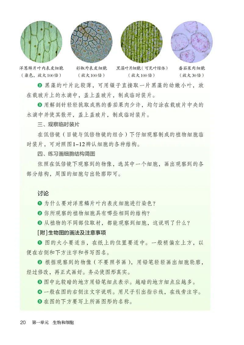 人教版7年级生物上册高清教材_4-教培资料-26年最新资料-同步更新_初中高中教资_03科三专项（进去保存报考的学科即可）_02科三专项（笔记真题思维导图教学设计版本二）