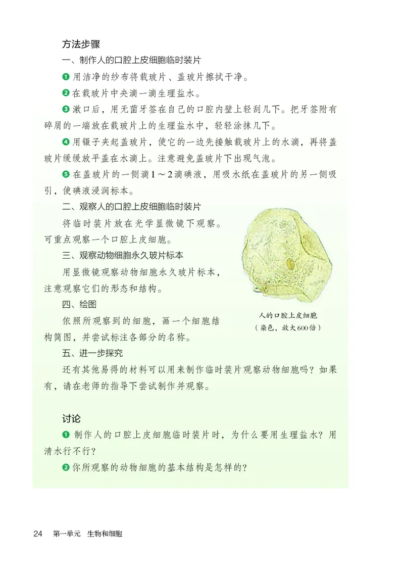 人教版7年级生物上册高清教材_4-教培资料-26年最新资料-同步更新_初中高中教资_03科三专项（进去保存报考的学科即可）_02科三专项（笔记真题思维导图教学设计版本二）