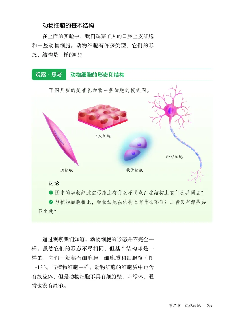 人教版7年级生物上册高清教材_4-教培资料-26年最新资料-同步更新_初中高中教资_03科三专项（进去保存报考的学科即可）_02科三专项（笔记真题思维导图教学设计版本二）