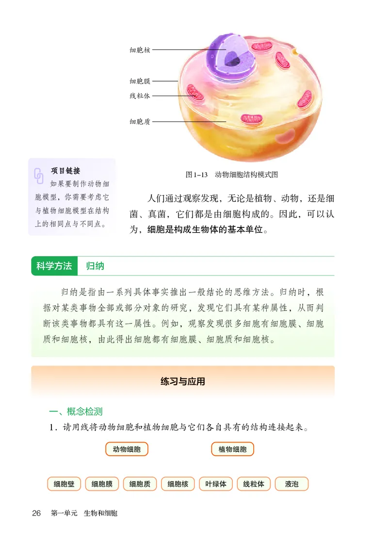人教版7年级生物上册高清教材_4-教培资料-26年最新资料-同步更新_初中高中教资_03科三专项（进去保存报考的学科即可）_02科三专项（笔记真题思维导图教学设计版本二）