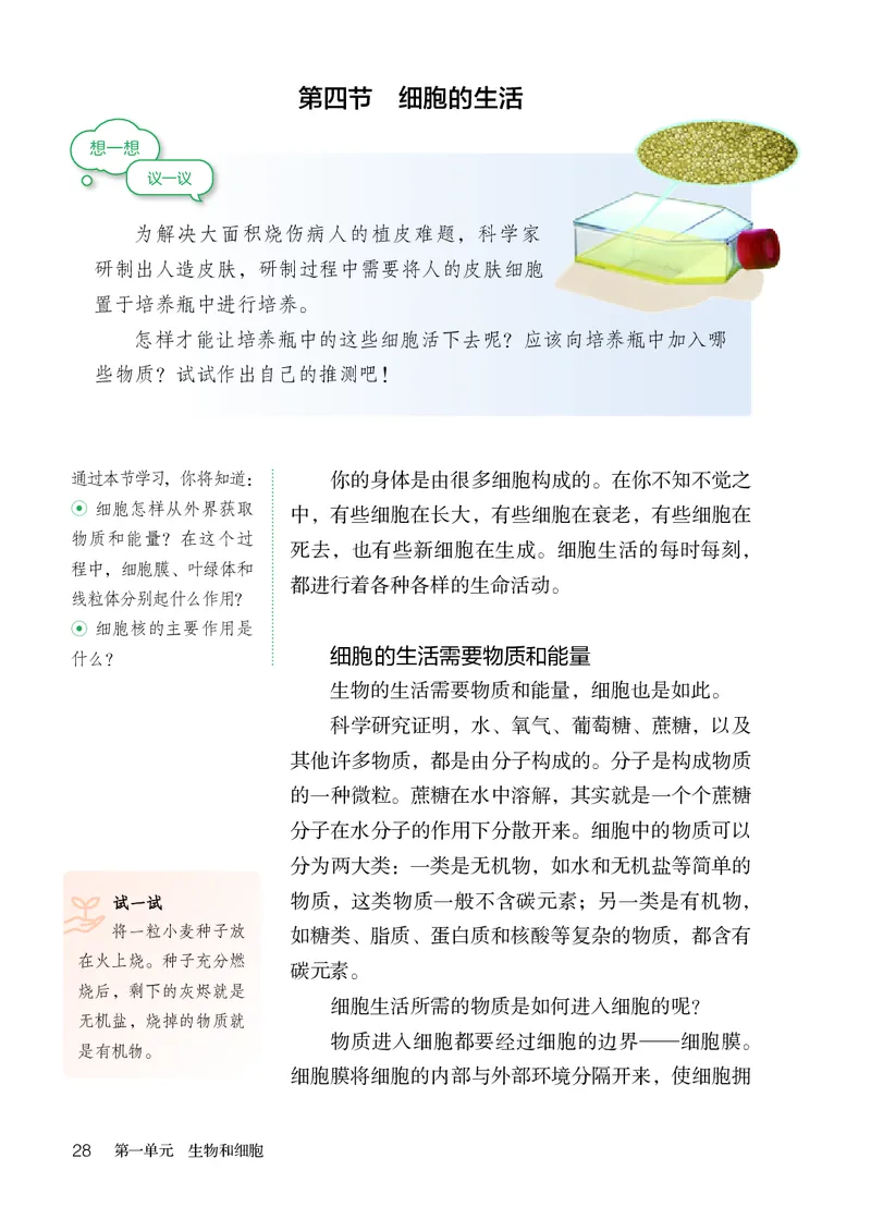人教版7年级生物上册高清教材_4-教培资料-26年最新资料-同步更新_初中高中教资_03科三专项（进去保存报考的学科即可）_02科三专项（笔记真题思维导图教学设计版本二）