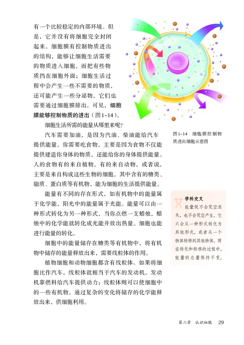 人教版7年级生物上册高清教材_4-教培资料-26年最新资料-同步更新_初中高中教资_03科三专项（进去保存报考的学科即可）_02科三专项（笔记真题思维导图教学设计版本二）