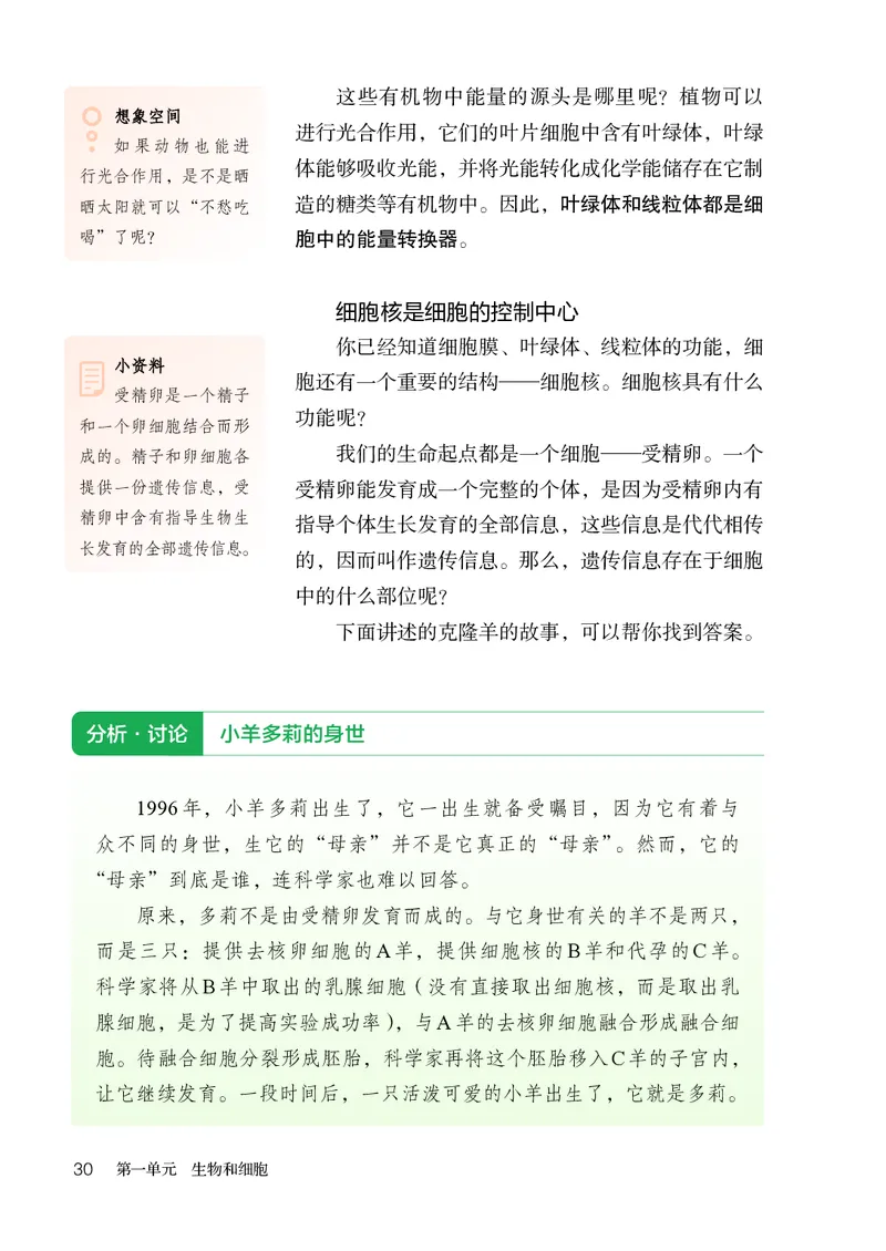 人教版7年级生物上册高清教材_4-教培资料-26年最新资料-同步更新_初中高中教资_03科三专项（进去保存报考的学科即可）_02科三专项（笔记真题思维导图教学设计版本二）