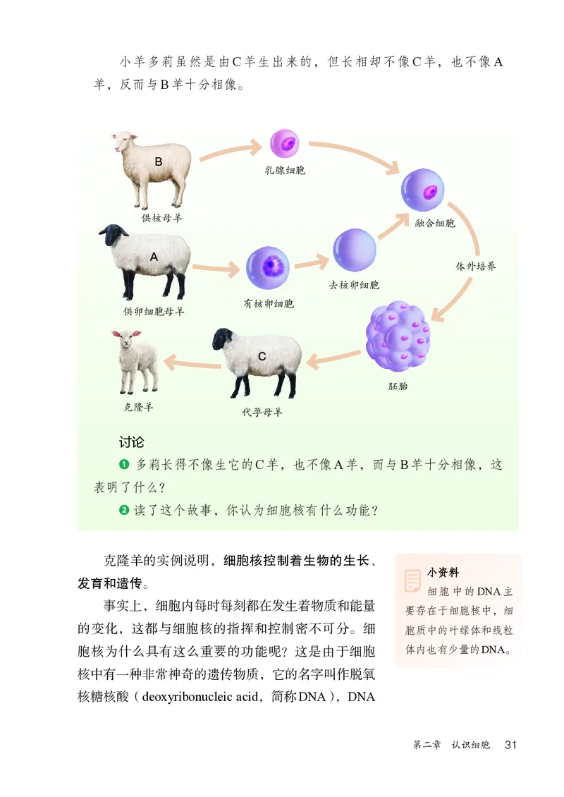 人教版7年级生物上册高清教材_4-教培资料-26年最新资料-同步更新_初中高中教资_03科三专项（进去保存报考的学科即可）_02科三专项（笔记真题思维导图教学设计版本二）