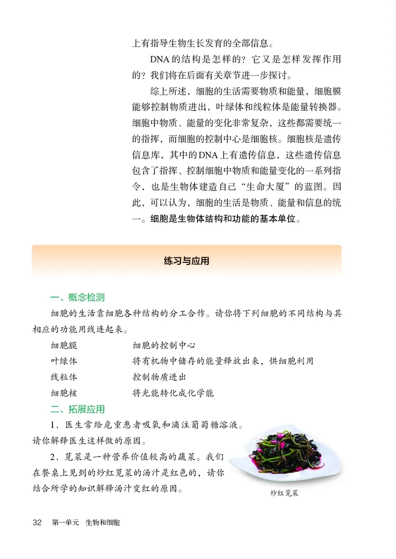 人教版7年级生物上册高清教材_4-教培资料-26年最新资料-同步更新_初中高中教资_03科三专项（进去保存报考的学科即可）_02科三专项（笔记真题思维导图教学设计版本二）