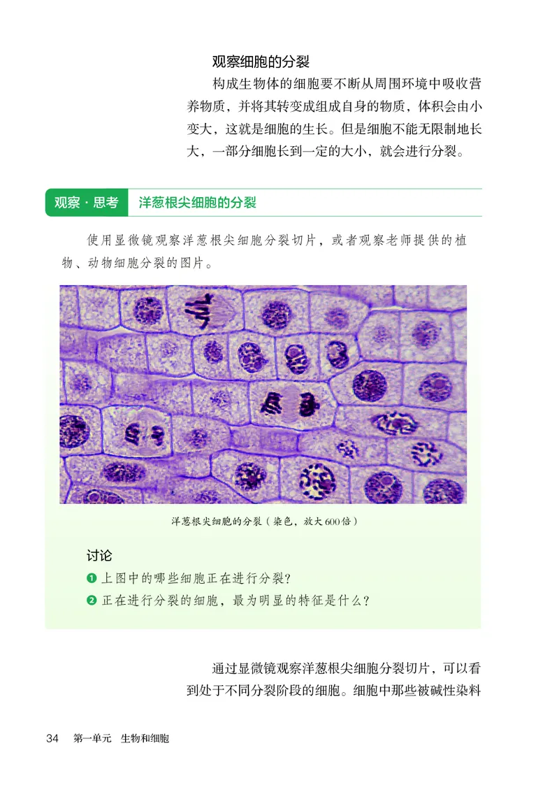人教版7年级生物上册高清教材_4-教培资料-26年最新资料-同步更新_初中高中教资_03科三专项（进去保存报考的学科即可）_02科三专项（笔记真题思维导图教学设计版本二）