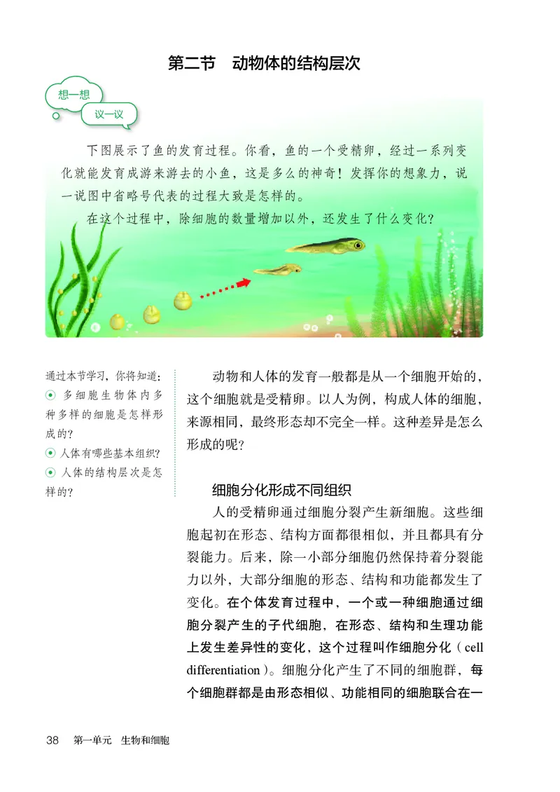 人教版7年级生物上册高清教材_4-教培资料-26年最新资料-同步更新_初中高中教资_03科三专项（进去保存报考的学科即可）_02科三专项（笔记真题思维导图教学设计版本二）