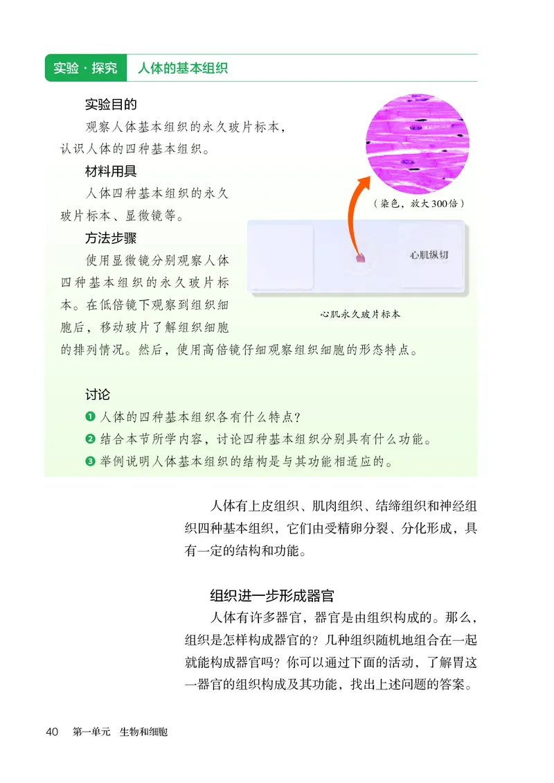 人教版7年级生物上册高清教材_4-教培资料-26年最新资料-同步更新_初中高中教资_03科三专项（进去保存报考的学科即可）_02科三专项（笔记真题思维导图教学设计版本二）