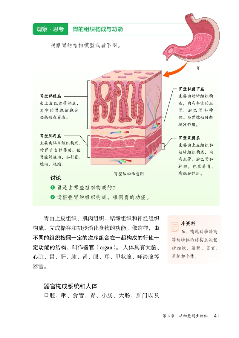 人教版7年级生物上册高清教材_4-教培资料-26年最新资料-同步更新_初中高中教资_03科三专项（进去保存报考的学科即可）_02科三专项（笔记真题思维导图教学设计版本二）