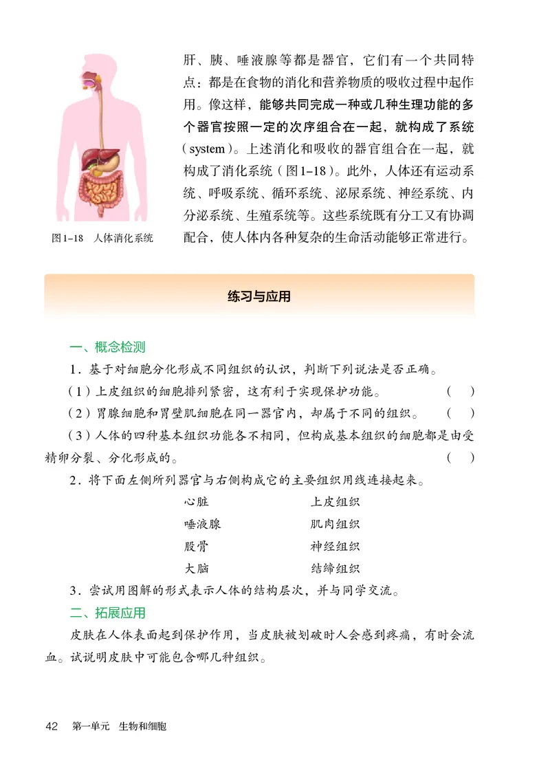 人教版7年级生物上册高清教材_4-教培资料-26年最新资料-同步更新_初中高中教资_03科三专项（进去保存报考的学科即可）_02科三专项（笔记真题思维导图教学设计版本二）