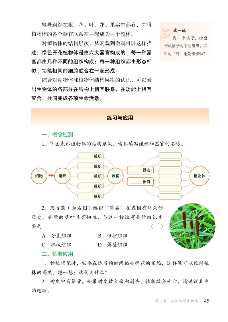 人教版7年级生物上册高清教材_4-教培资料-26年最新资料-同步更新_初中高中教资_03科三专项（进去保存报考的学科即可）_02科三专项（笔记真题思维导图教学设计版本二）