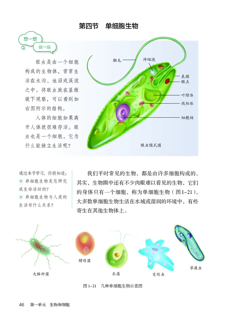人教版7年级生物上册高清教材_4-教培资料-26年最新资料-同步更新_初中高中教资_03科三专项（进去保存报考的学科即可）_02科三专项（笔记真题思维导图教学设计版本二）
