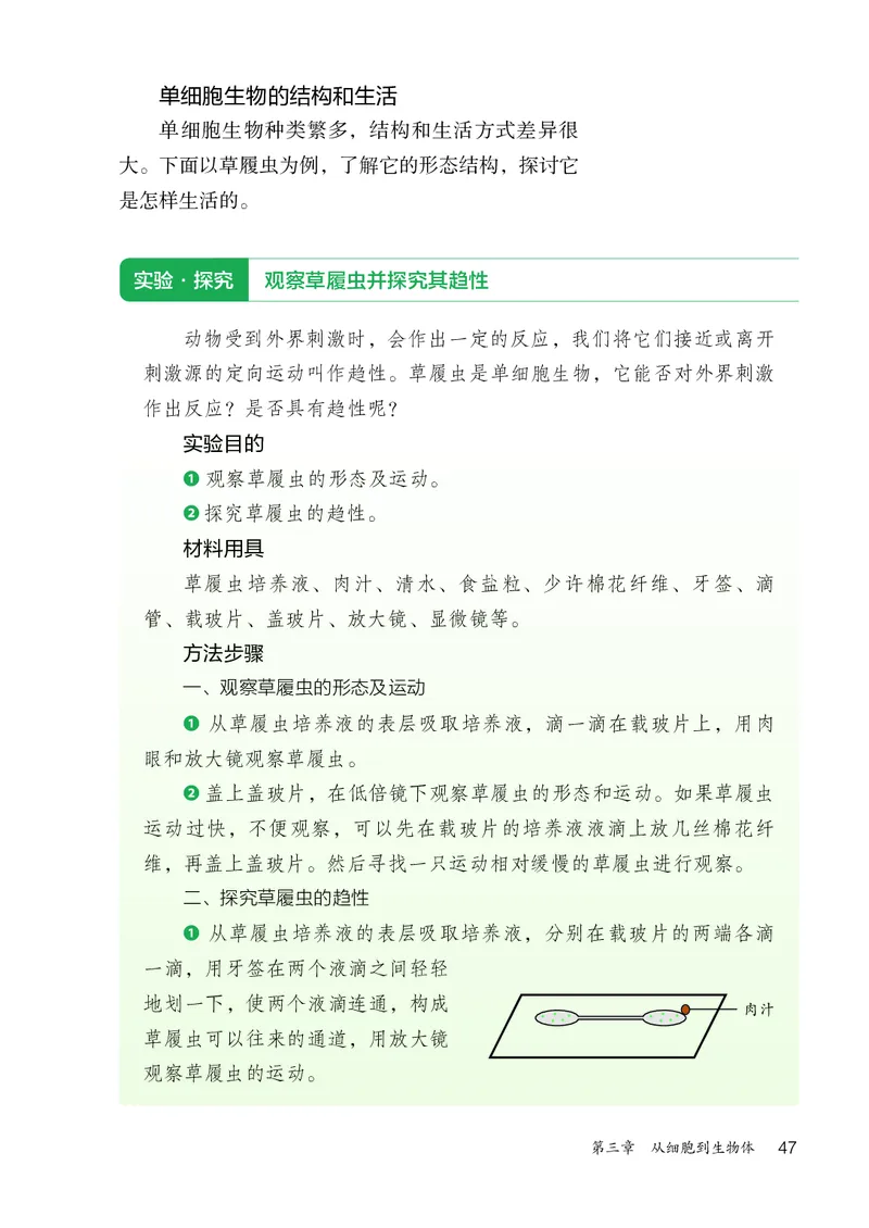 人教版7年级生物上册高清教材_4-教培资料-26年最新资料-同步更新_初中高中教资_03科三专项（进去保存报考的学科即可）_02科三专项（笔记真题思维导图教学设计版本二）