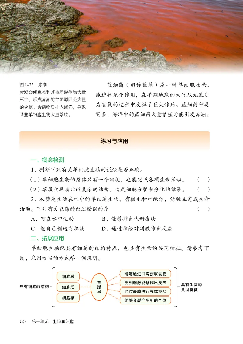 人教版7年级生物上册高清教材_4-教培资料-26年最新资料-同步更新_初中高中教资_03科三专项（进去保存报考的学科即可）_02科三专项（笔记真题思维导图教学设计版本二）