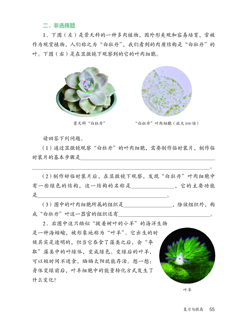 人教版7年级生物上册高清教材_4-教培资料-26年最新资料-同步更新_初中高中教资_03科三专项（进去保存报考的学科即可）_02科三专项（笔记真题思维导图教学设计版本二）