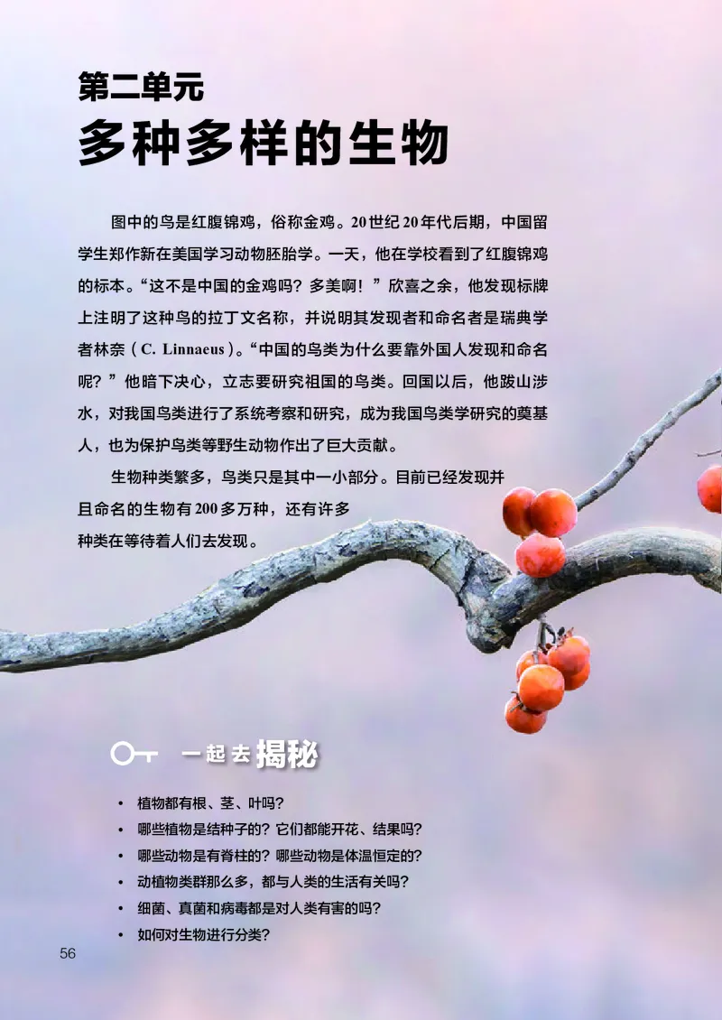 人教版7年级生物上册高清教材_4-教培资料-26年最新资料-同步更新_初中高中教资_03科三专项（进去保存报考的学科即可）_02科三专项（笔记真题思维导图教学设计版本二）