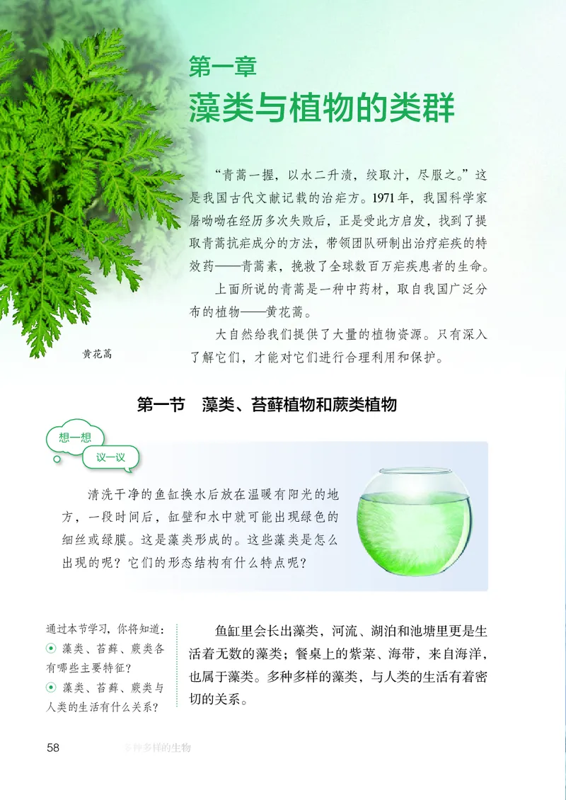 人教版7年级生物上册高清教材_4-教培资料-26年最新资料-同步更新_初中高中教资_03科三专项（进去保存报考的学科即可）_02科三专项（笔记真题思维导图教学设计版本二）