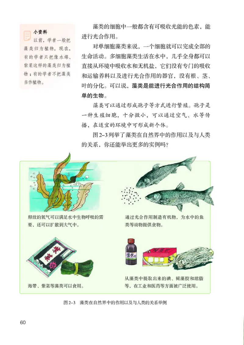 人教版7年级生物上册高清教材_4-教培资料-26年最新资料-同步更新_初中高中教资_03科三专项（进去保存报考的学科即可）_02科三专项（笔记真题思维导图教学设计版本二）